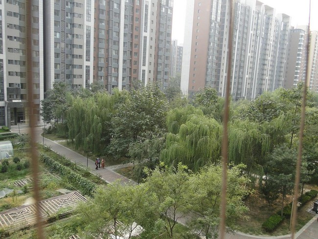 北京爱这城图片