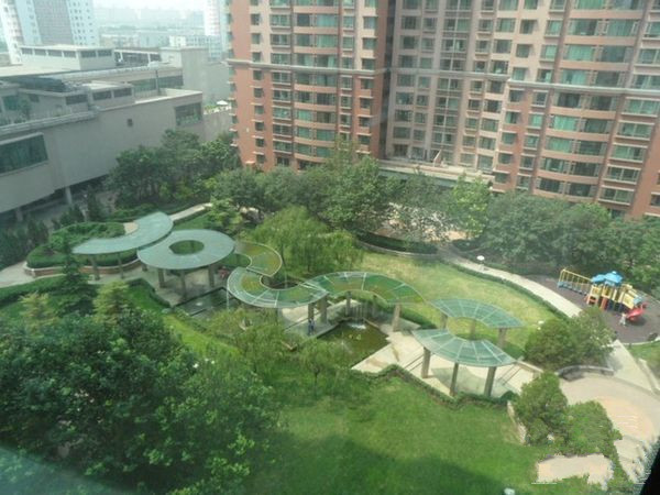 北京朝阳园图片