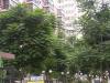 木樨园小区图片