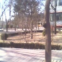 北京砖角楼南里外景图
