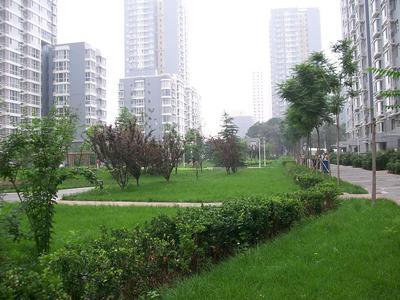 广西人口网_广西区内人口大县,超百万的有8个,最多的一个近200万