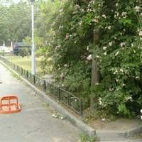 推推99北京房产网兴化路2号院外景图