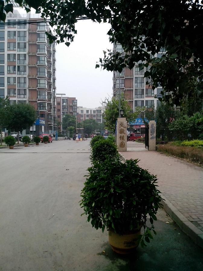 世界之花 大红门锦苑正规次卧 朝南向 家具齐全