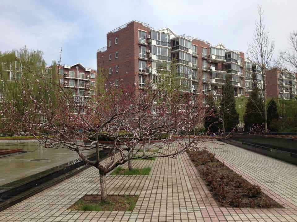 四季青郦城二区精品住宅紧售!