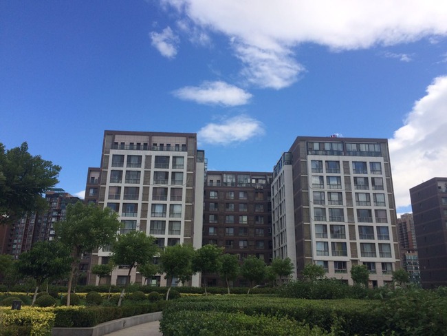 东四环 四惠壹线国际 正规两居室正对花园无税房紧邻