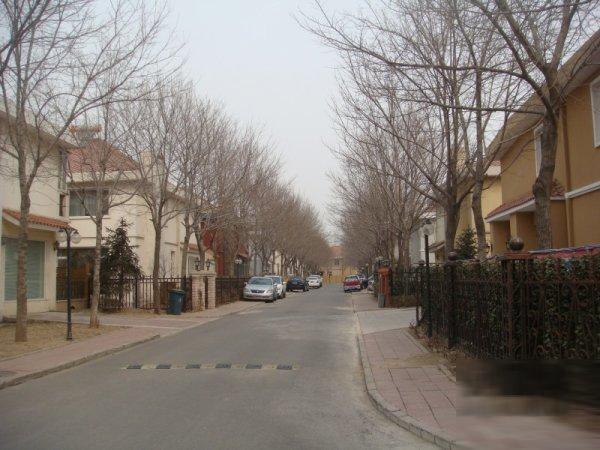 嘉浩国际商住别墅城