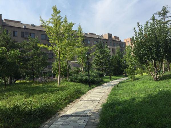 新上房源花园洋房远洋一方花语苑南北通透大三居靠谱在卖