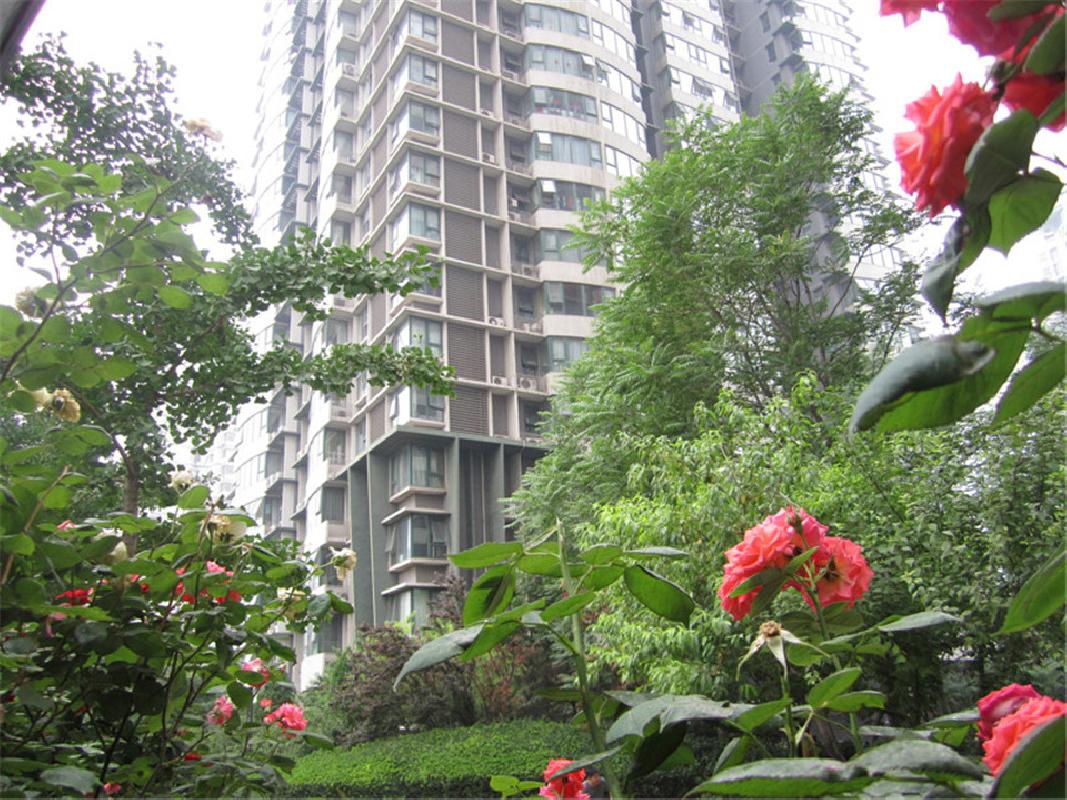 东恒时代一期两居室 免税房 高层观景 地暖设计 地铁一号线四惠站