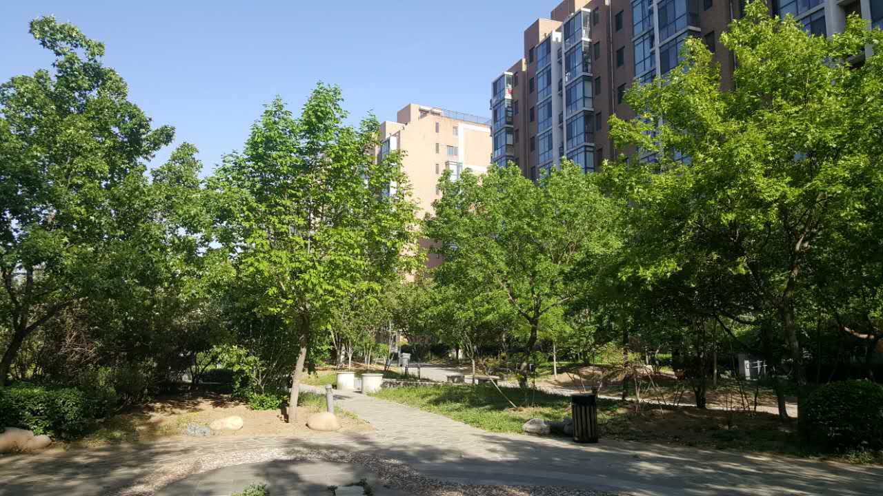 麦田在线玉泉新城精装修4室 说的再好不如您眼见为实