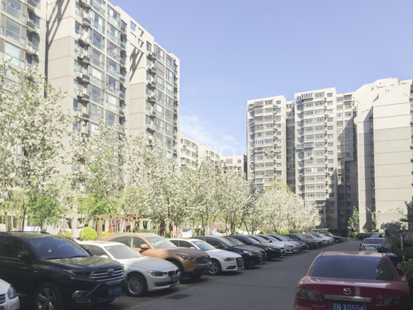 新景家园 低总价 两居室 仅此一套