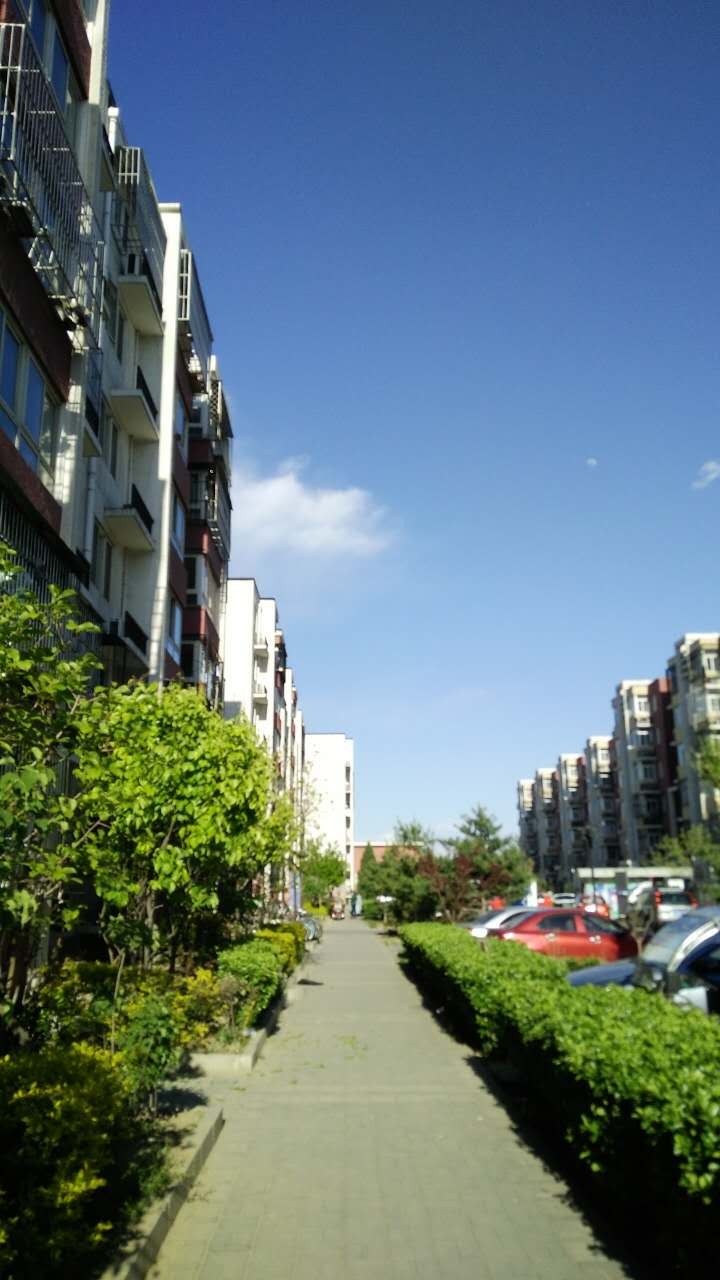 回龙观 07年小区 龙锦东五 两居 南北通透 精装修 低总价 8号线