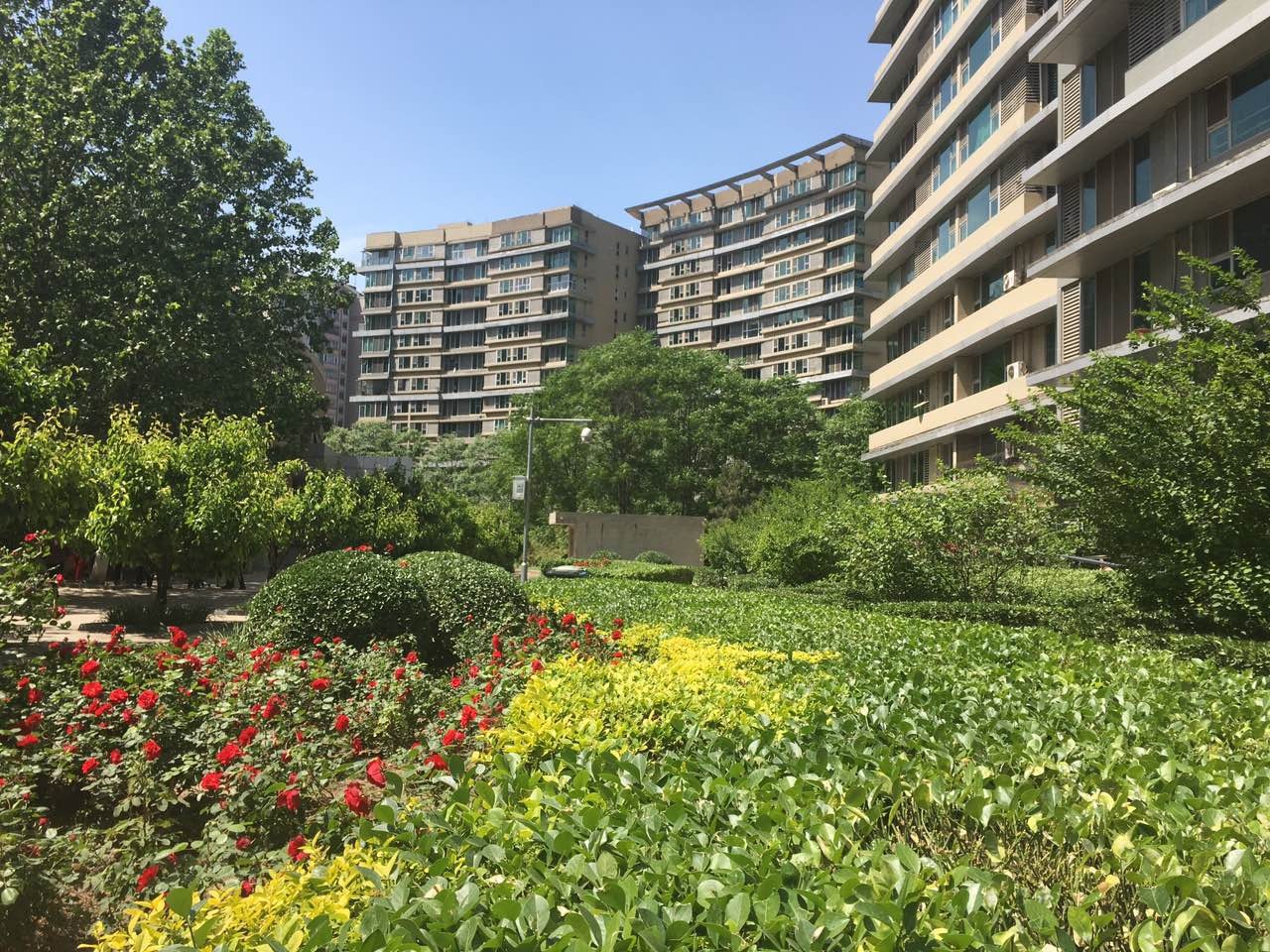 【多图】观澜国际花园二手房,1450万,车道沟曙光花园,昆玉河西畔观澜