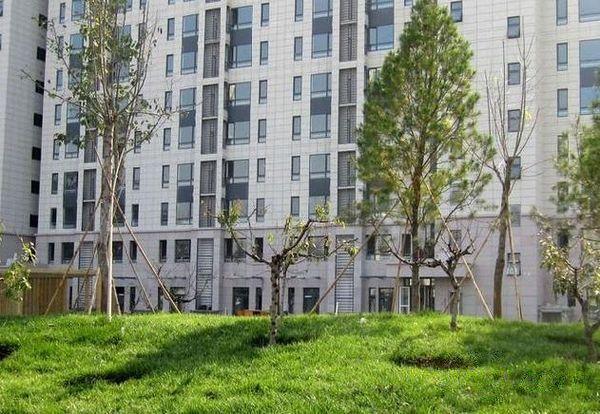 soco公社 旗胜家园 1室1卫1厅