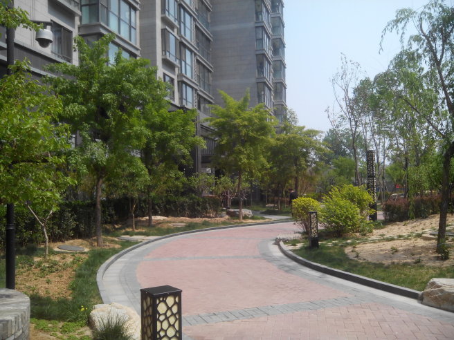 中信城三期 禧园 高楼层 金角3居室 精致装修 看房方便_北京中信禧园