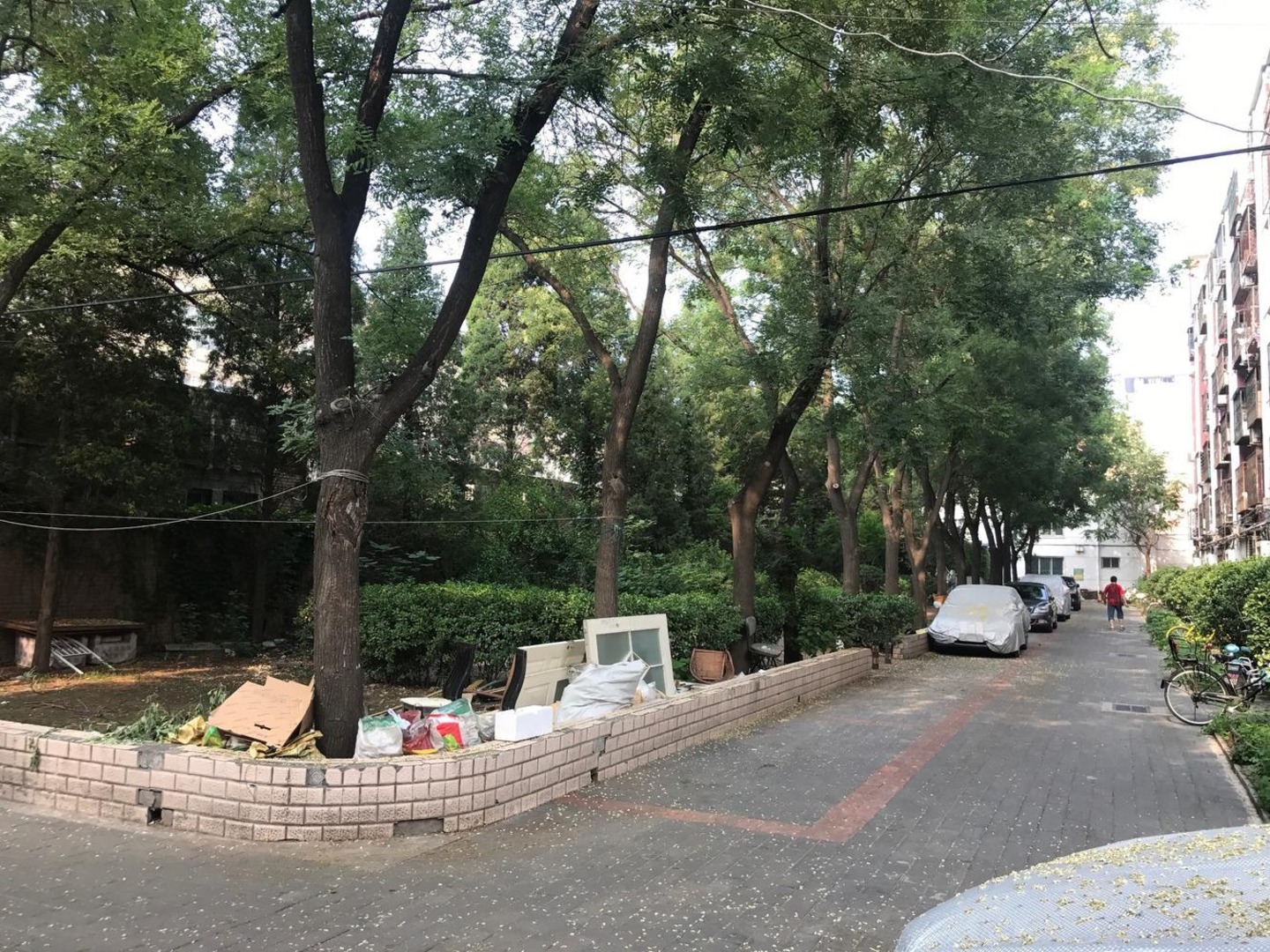 推推99北京房产网安华里社区(五区)出租房房源图片