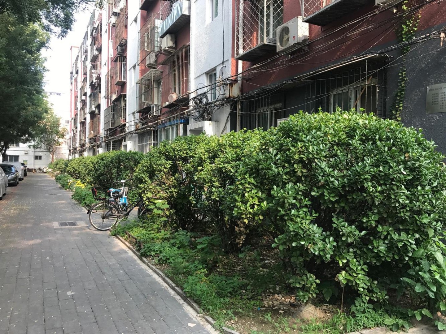 推推99北京房产网安华里社区(五区)出租房房源图片