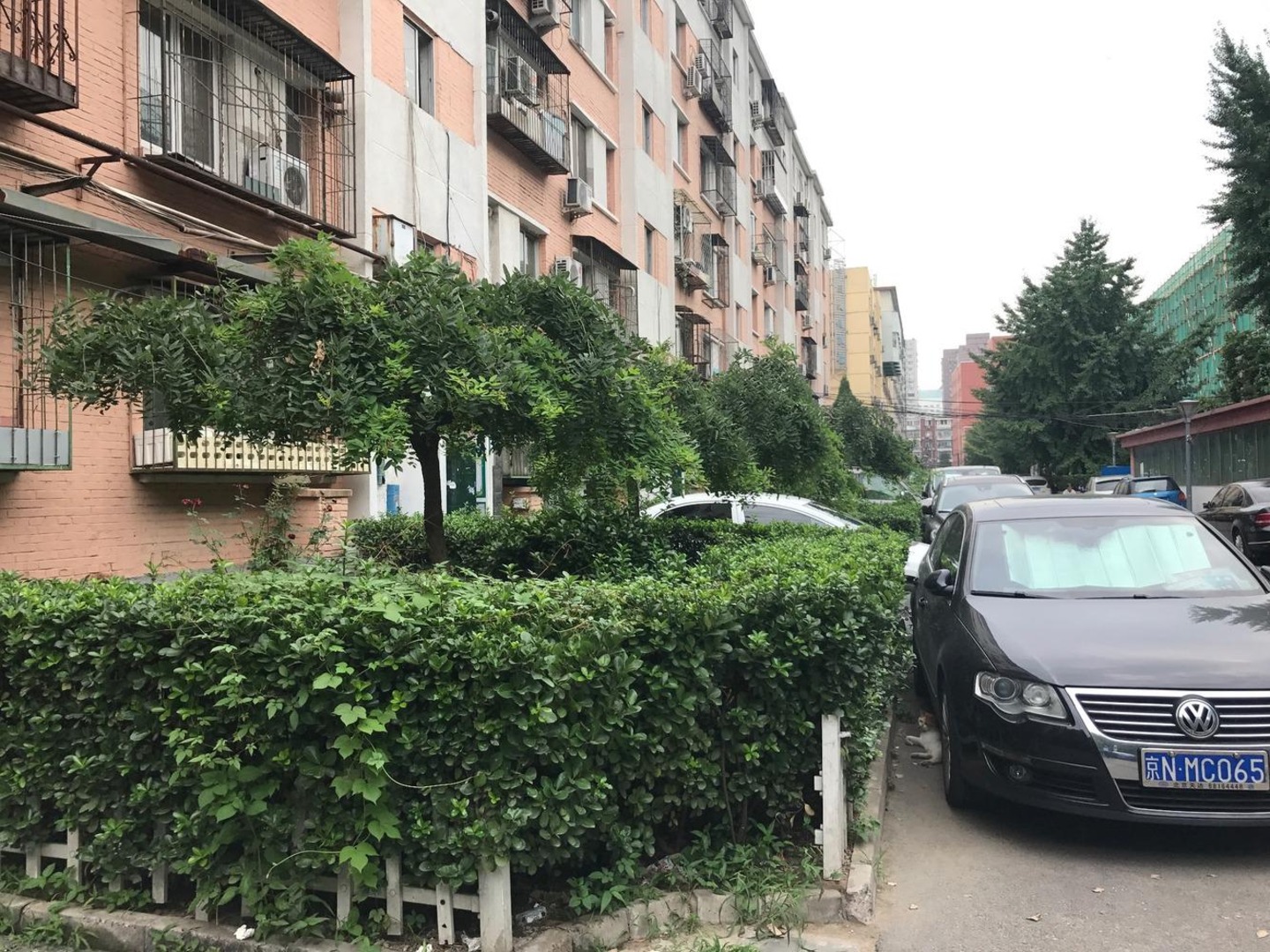 推推99北京房产网安华西里(三区)出租房房源图片