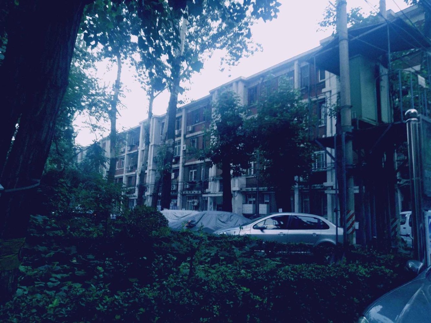 推推99北京房产网兴化西里出租房房源图片