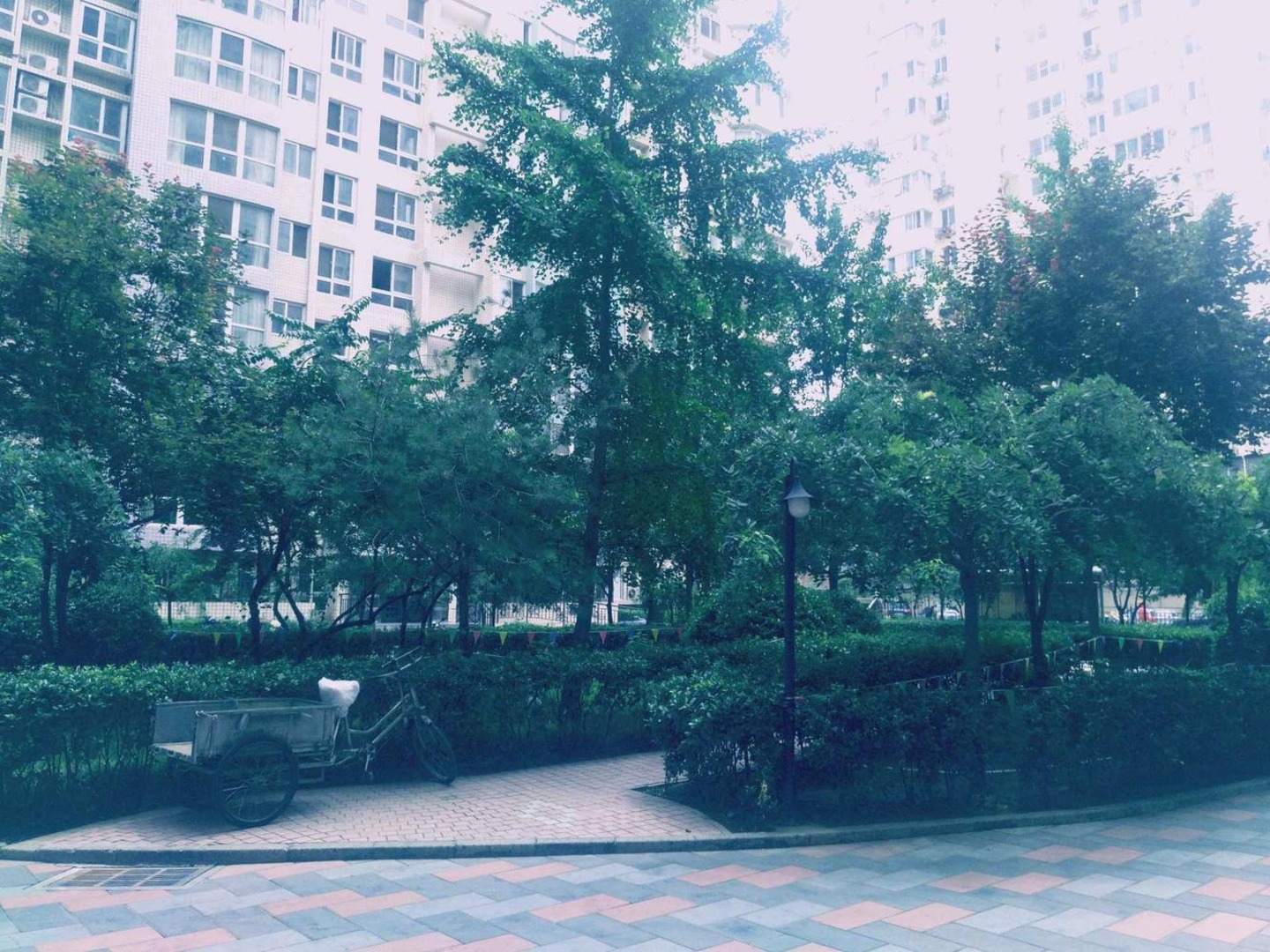 推推99北京房产网华府景园出租房房源图片