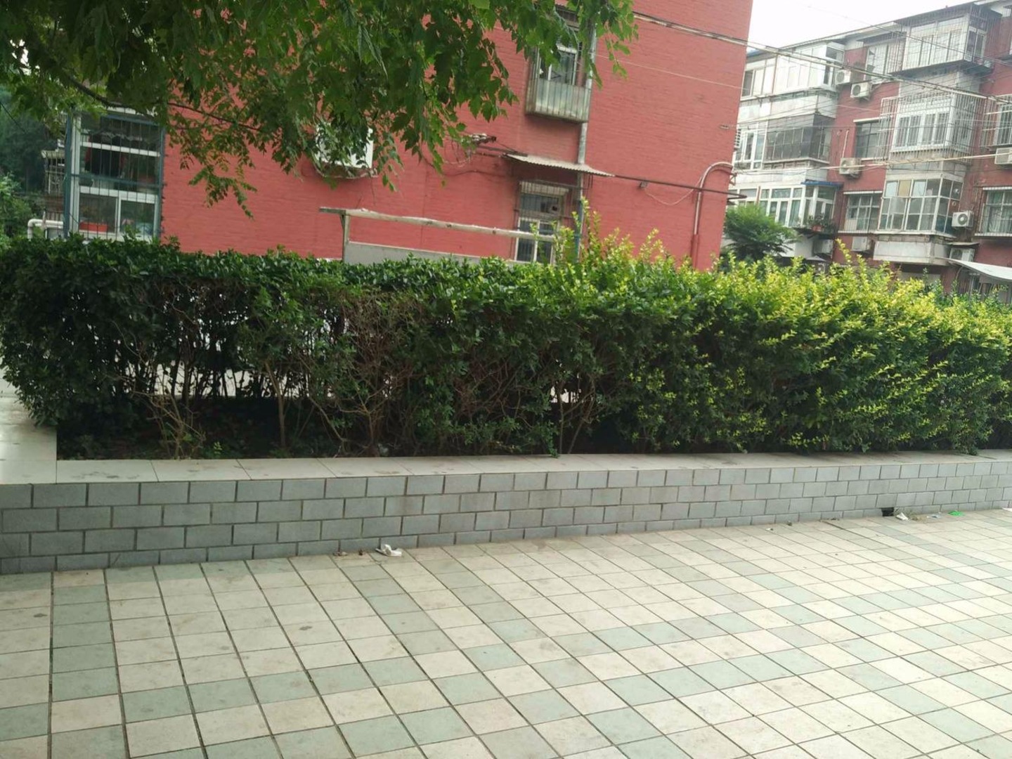 推推99北京房产网小黄庄前街13号院出租房房源图片