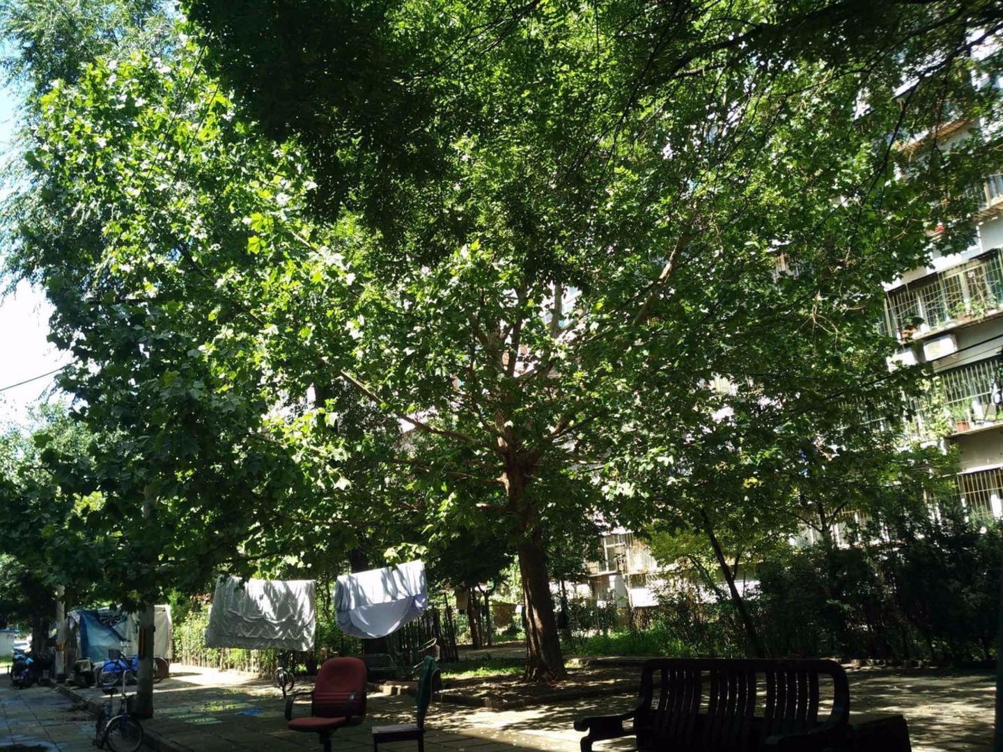 推推99北京房产网小黄庄二区出租房房源图片