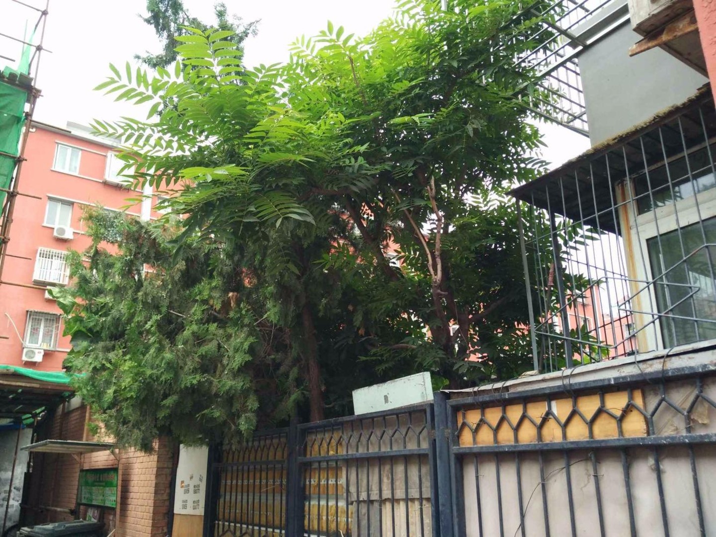 推推99北京房产网小黄庄前街3号院出租房房源图片