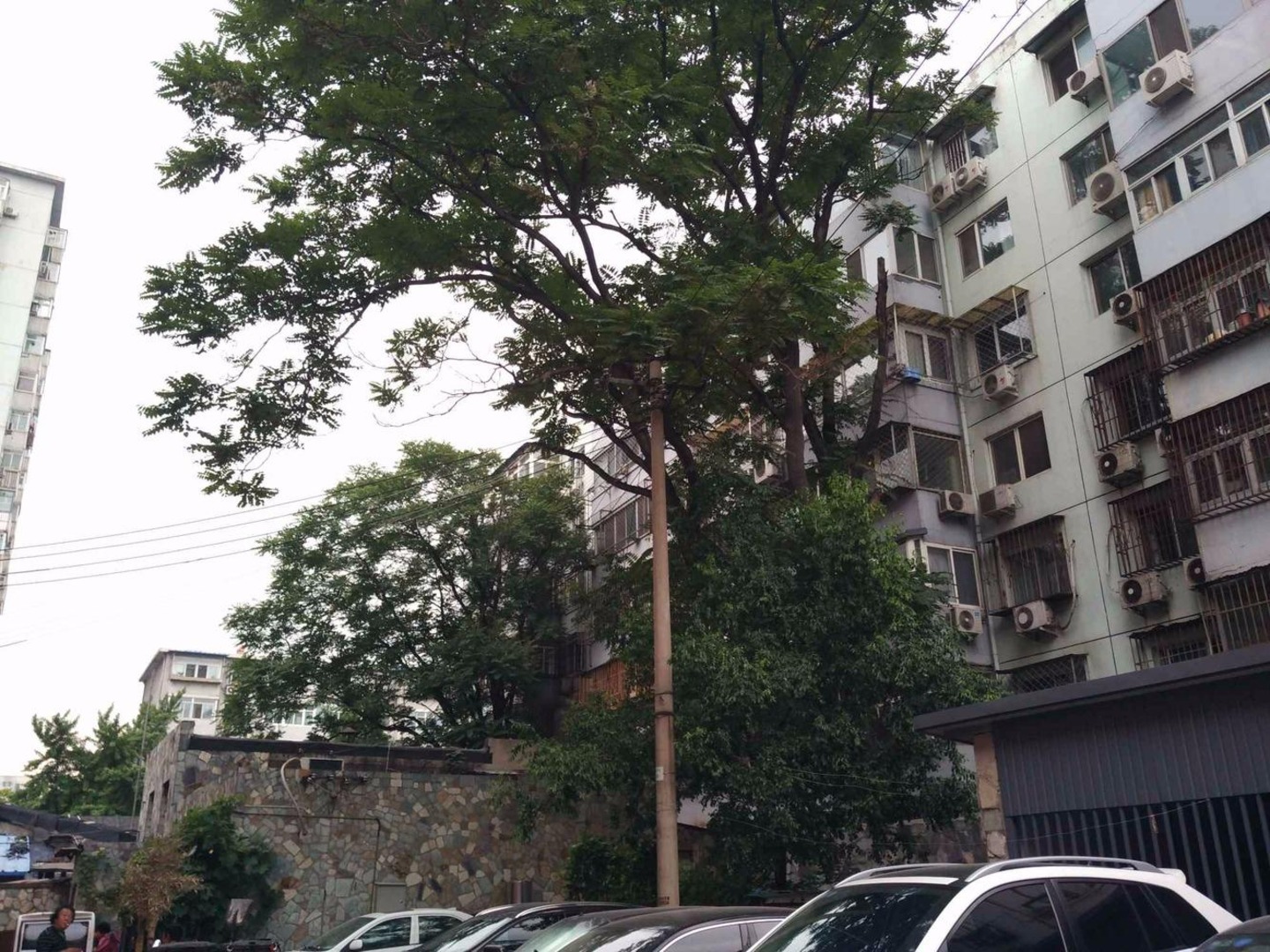 推推99北京房产网小黄庄前街3号院出租房房源图片