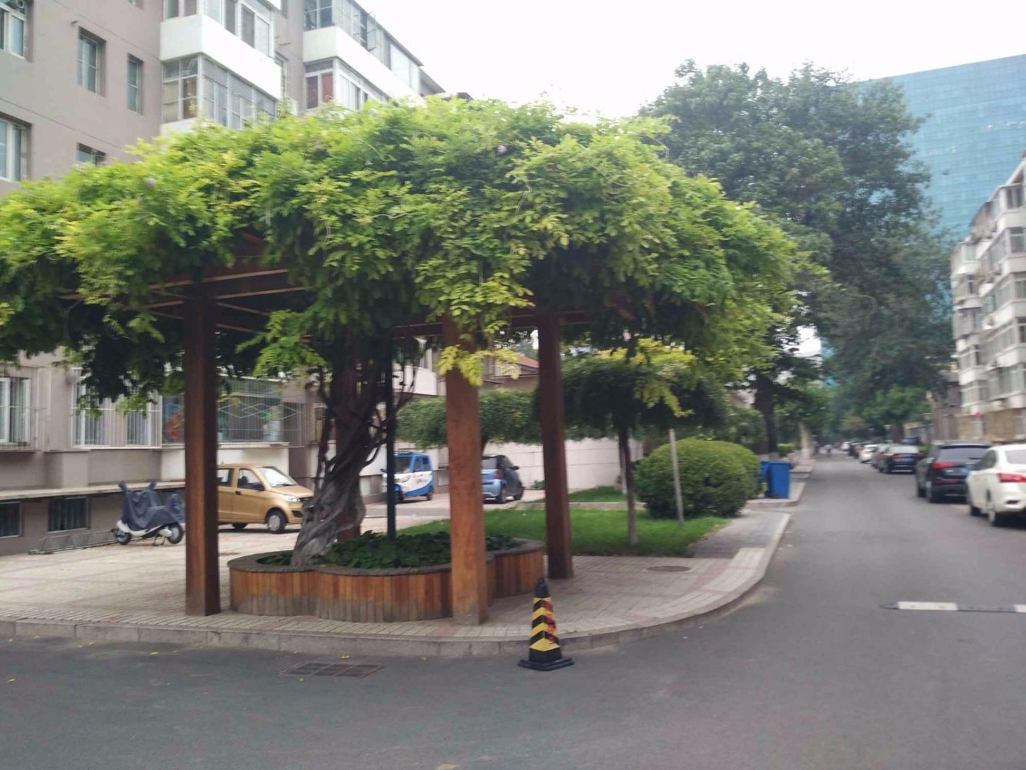 推推99北京房产网建研院出租房房源图片