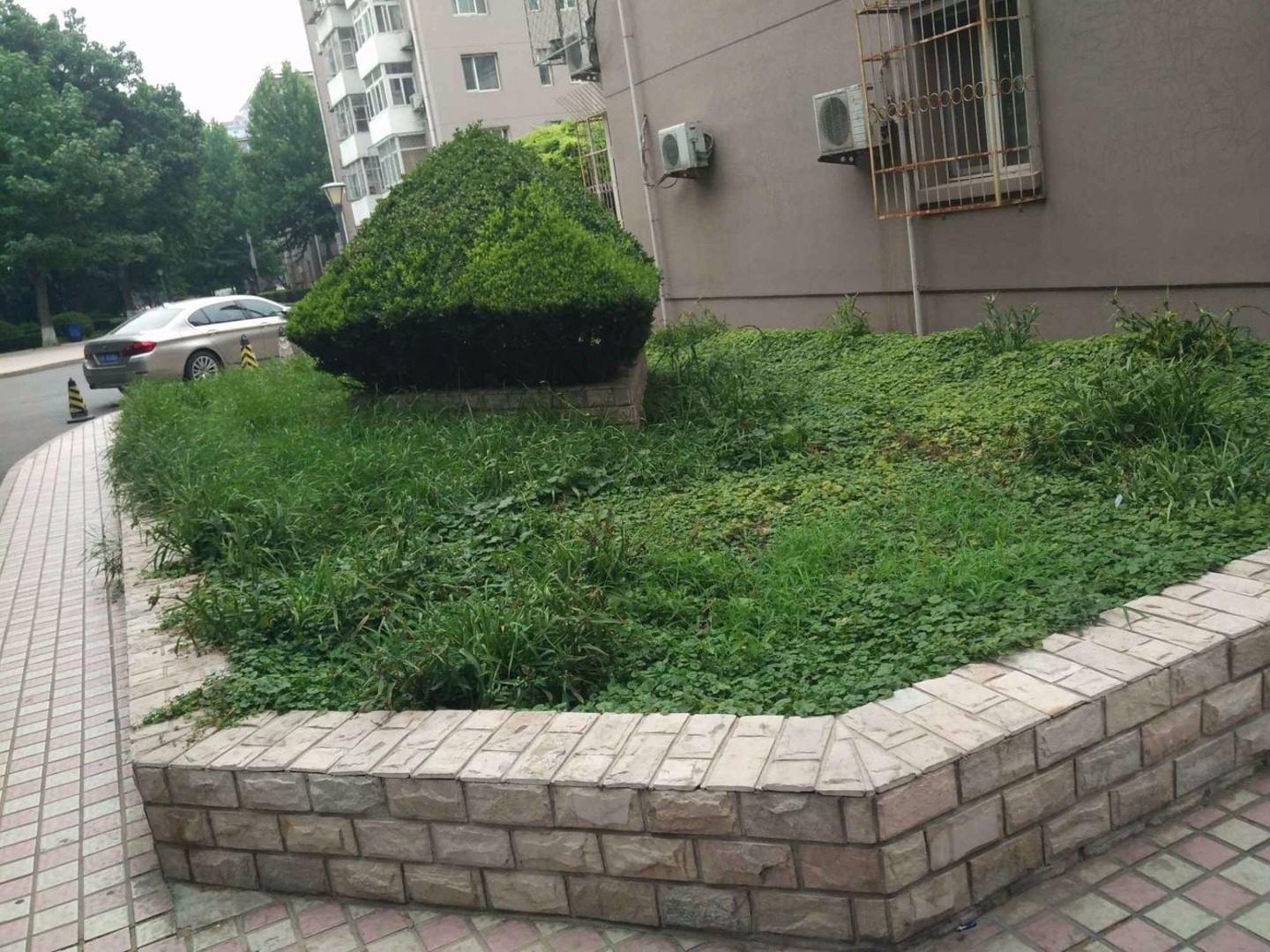 推推99北京房产网建研院出租房房源图片