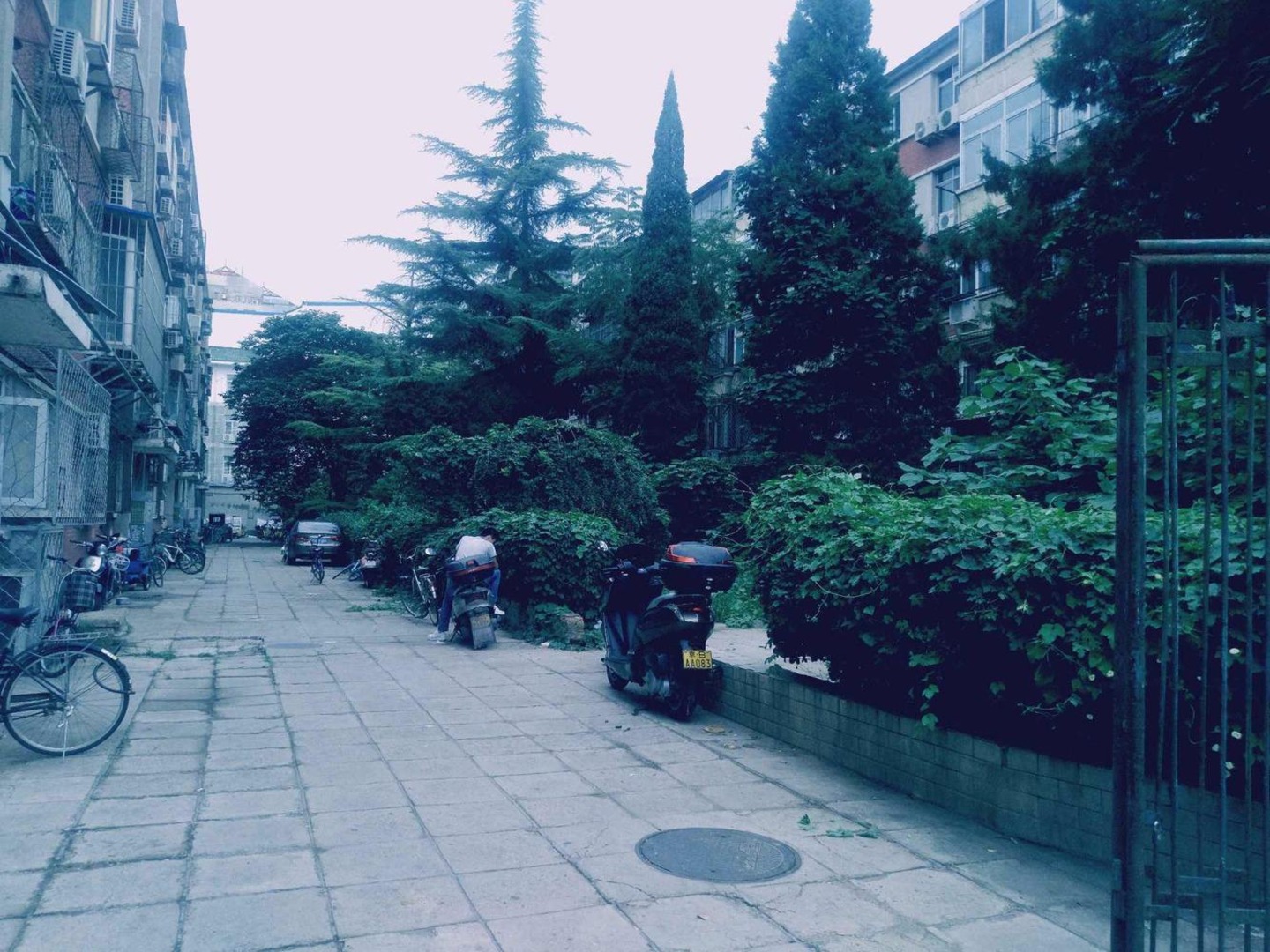 推推99北京房产网安外花园出租房房源图片