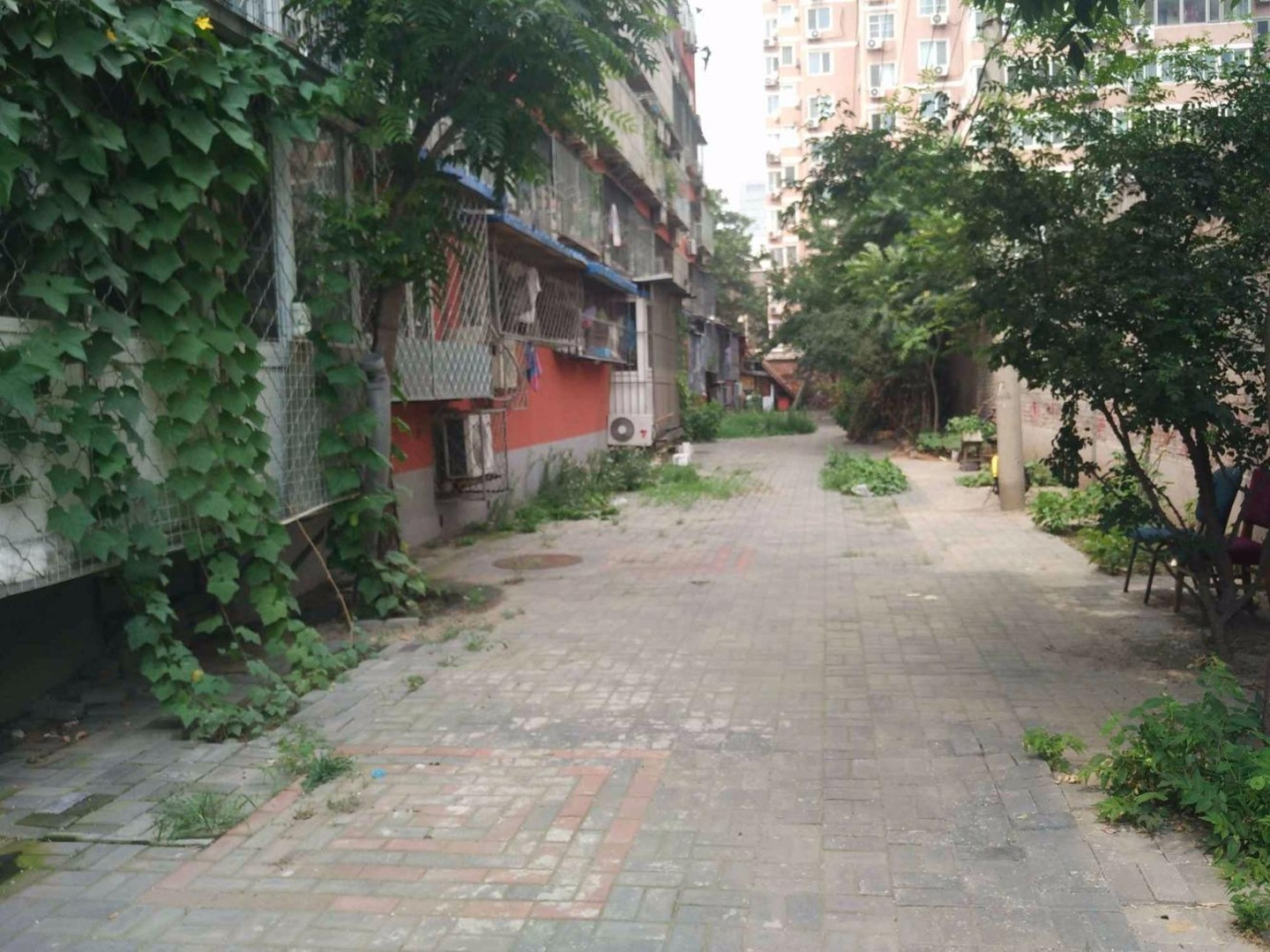 推推99北京房产网小黄庄路四条出租房房源图片