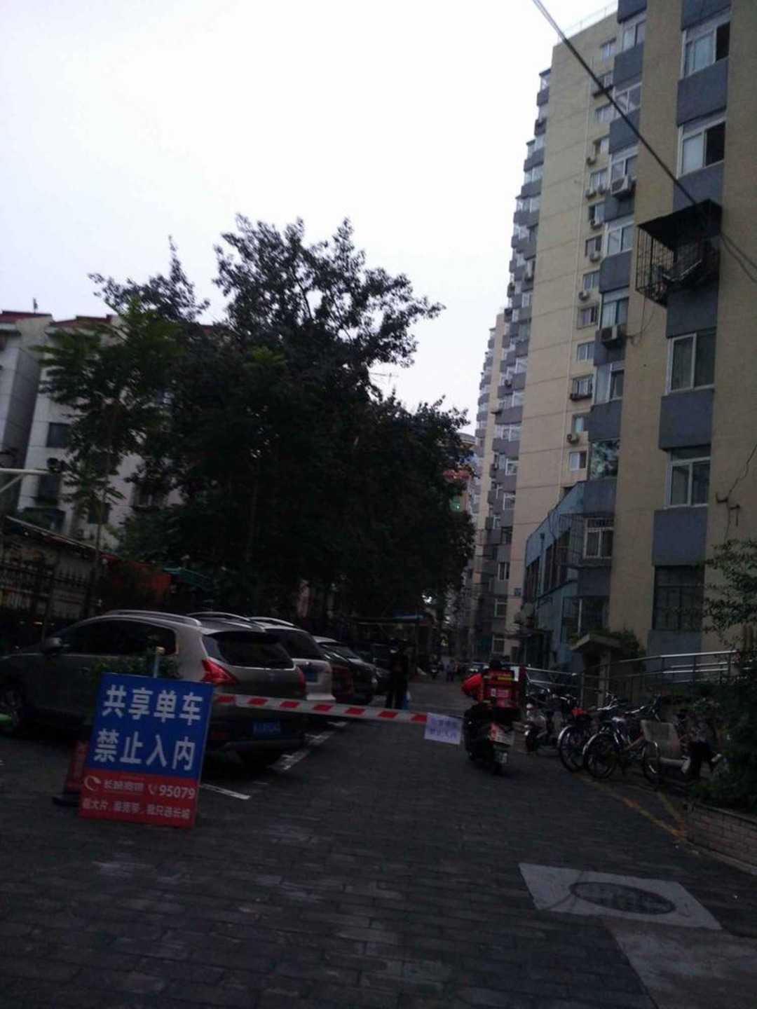 推推99北京房产网安定路小区出租房房源图片