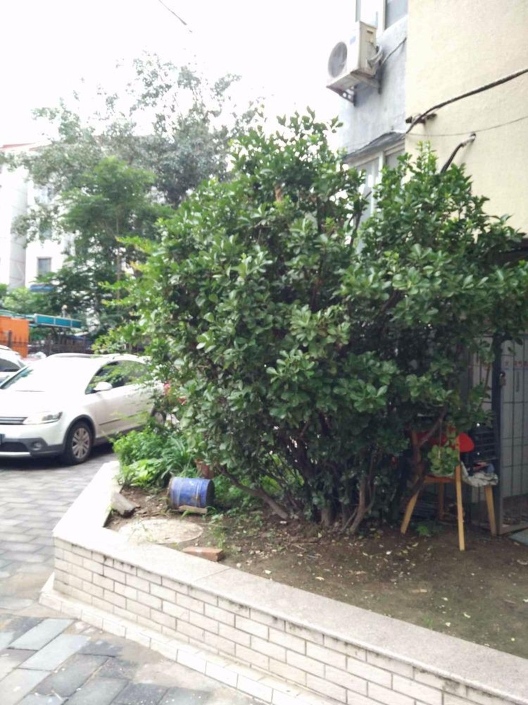 推推99北京房产网安定路小区出租房房源图片