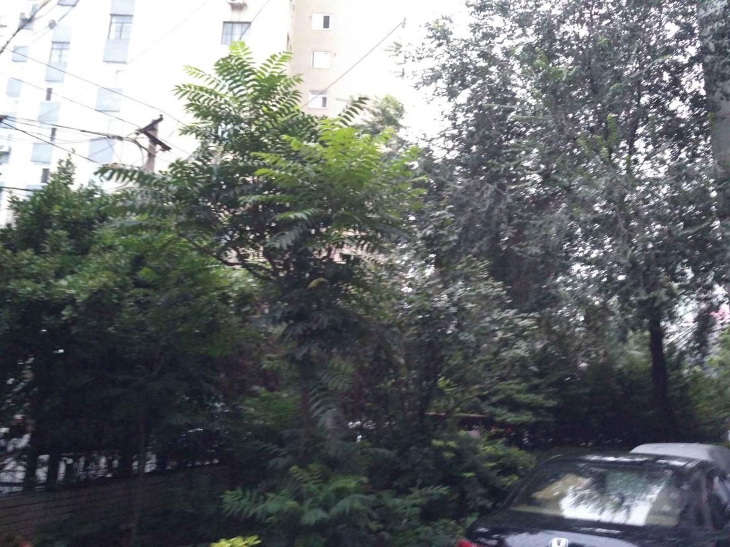 推推99北京房产网安定路小区出租房房源图片