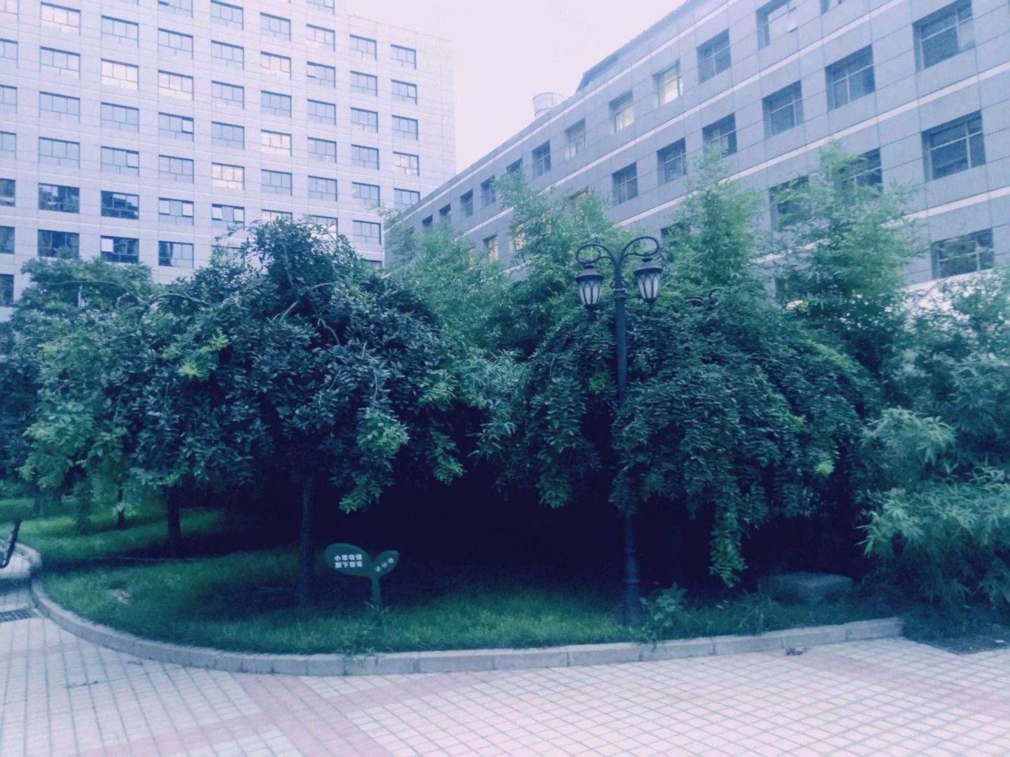 推推99北京房产网中景濠庭出租房房源图片