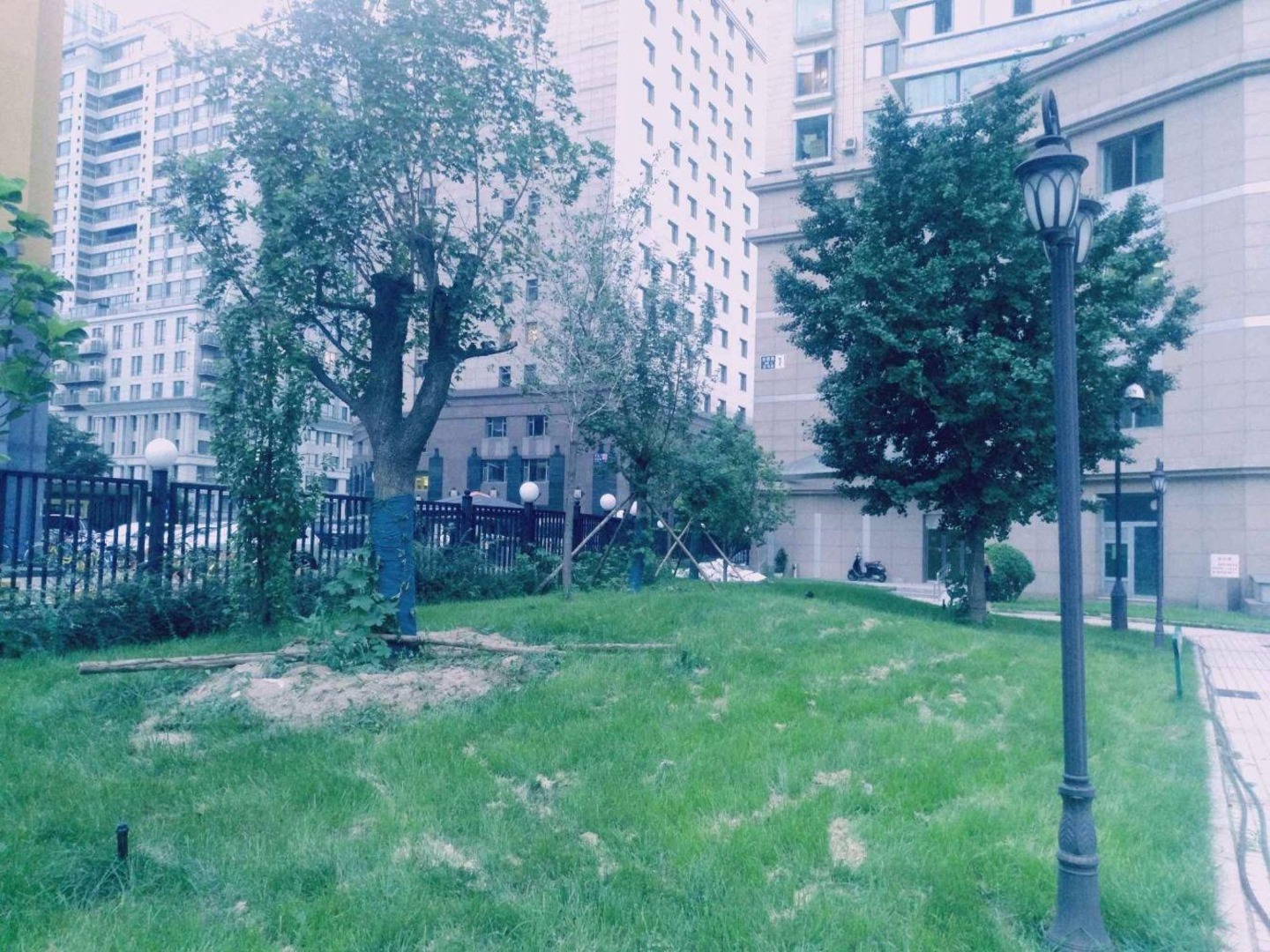 推推99北京房产网中景濠庭出租房房源图片