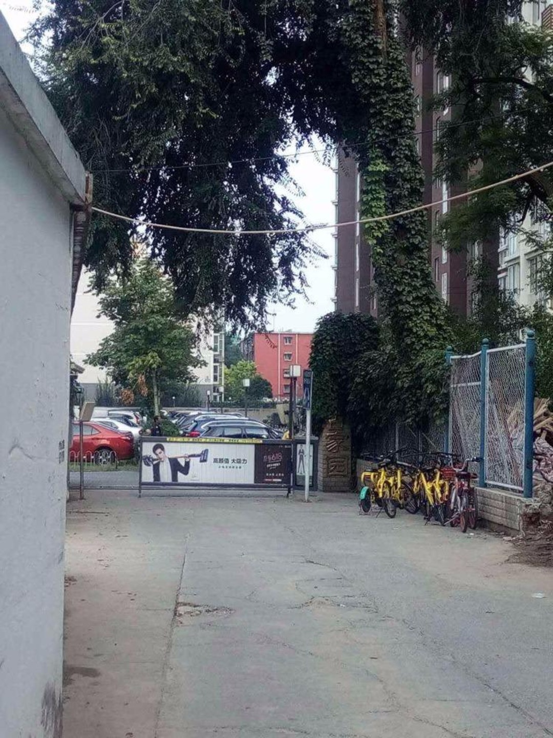 推推99北京房产网城市出品出租房房源图片