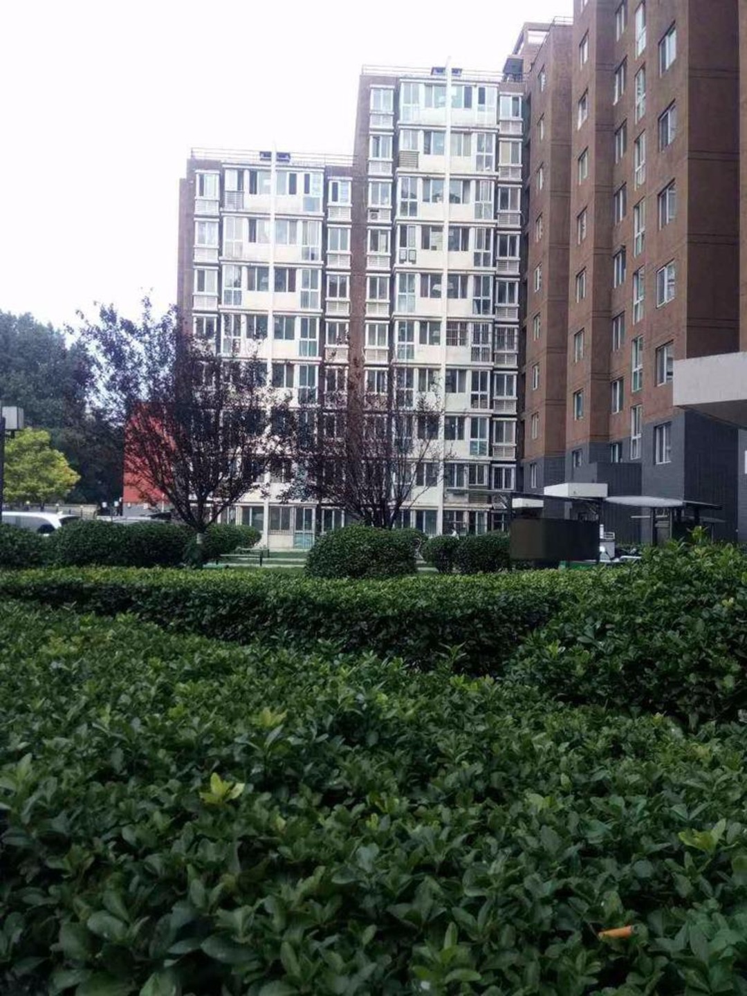 推推99北京房产网城市出品出租房房源图片