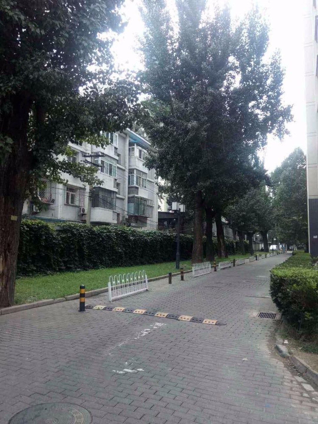 推推99北京房产网城市出品出租房房源图片