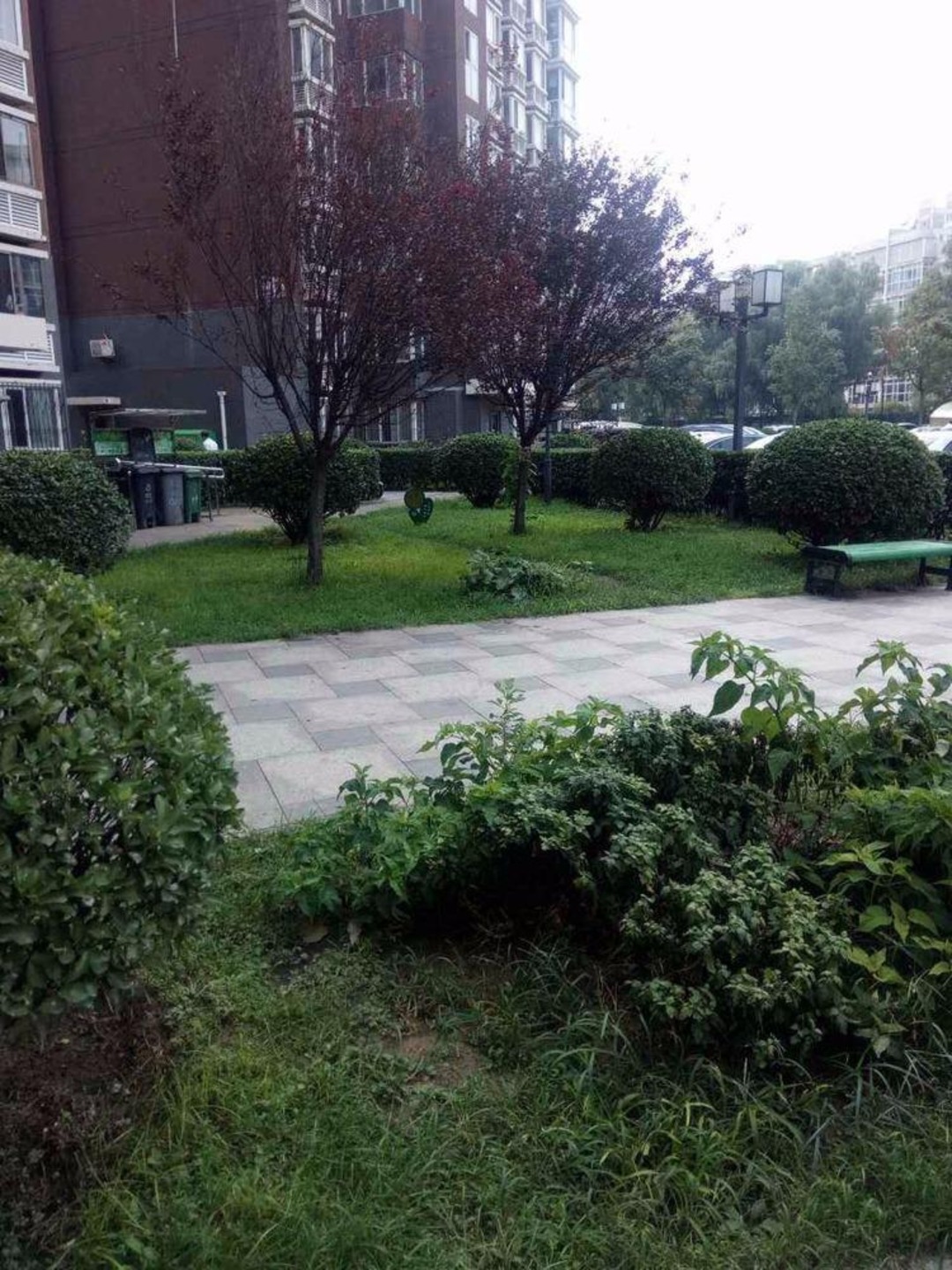 推推99北京房产网城市出品出租房房源图片