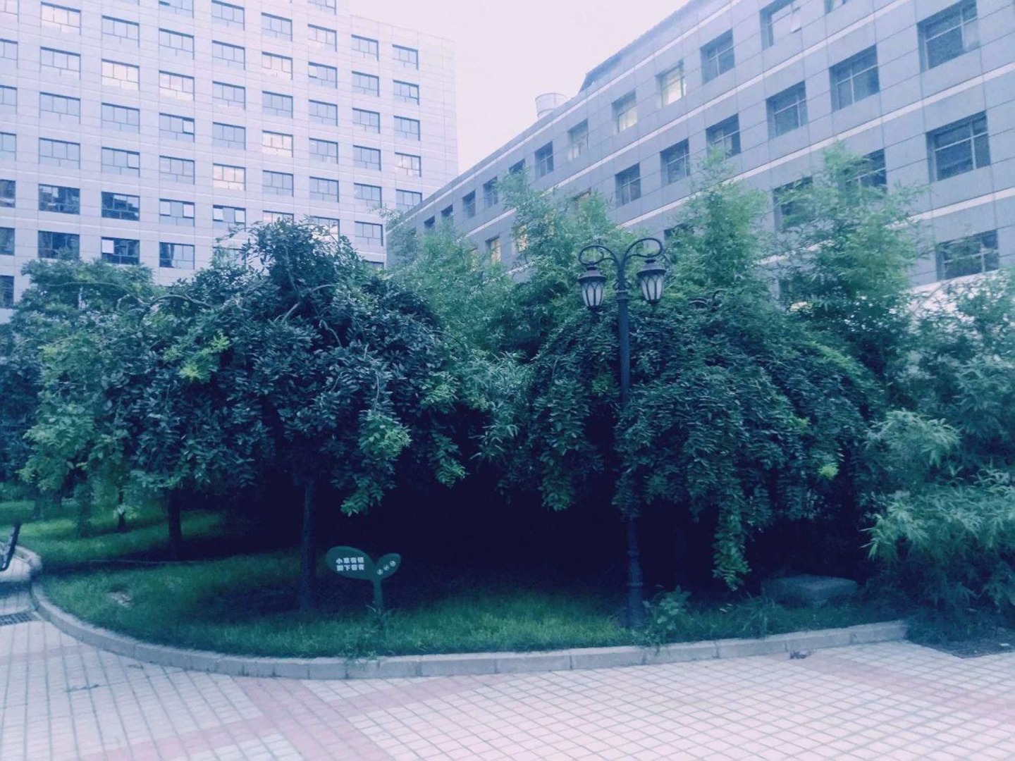推推99北京房产网中景濠庭出租房房源图片