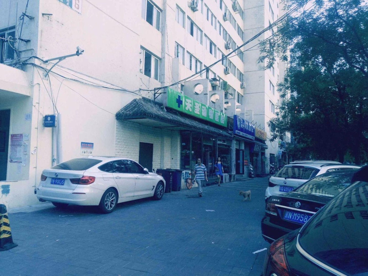 推推99北京房产网安外大街6号楼出租房房源图片