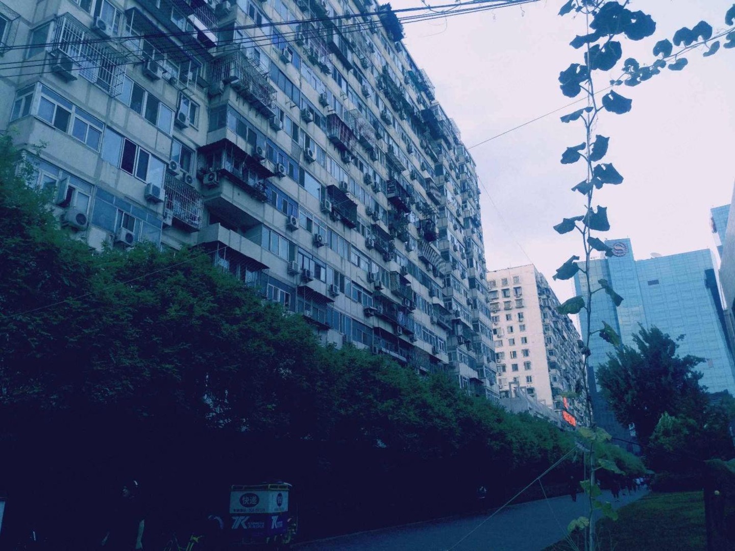 推推99北京房产网安外大街6号楼出租房房源图片