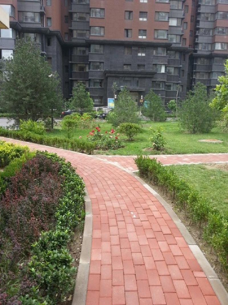 国贸后花园双井 家乐福 御宸上院 苹果社